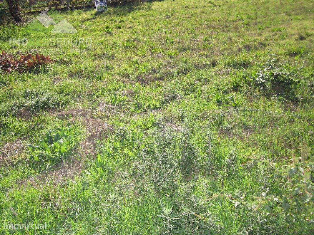 Terreno p/construção, centro de Lobão - Grande imagem: 5/11