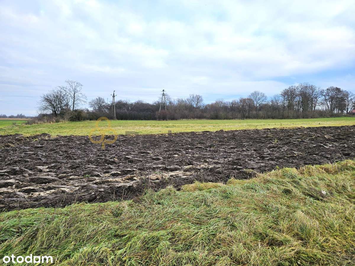 Małachowo - działka - wydane Warunki Zabudowy - Pełny obrazek: 5/8