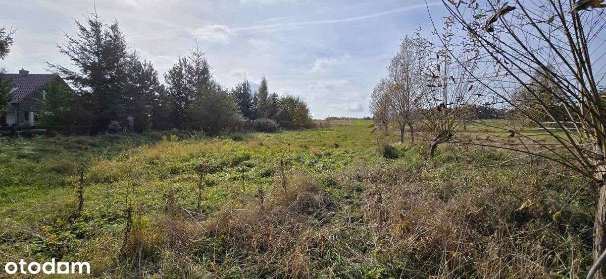 działka budowlana w Henrykowie Lubańskim - okazja - Pełny obrazek: 5/9