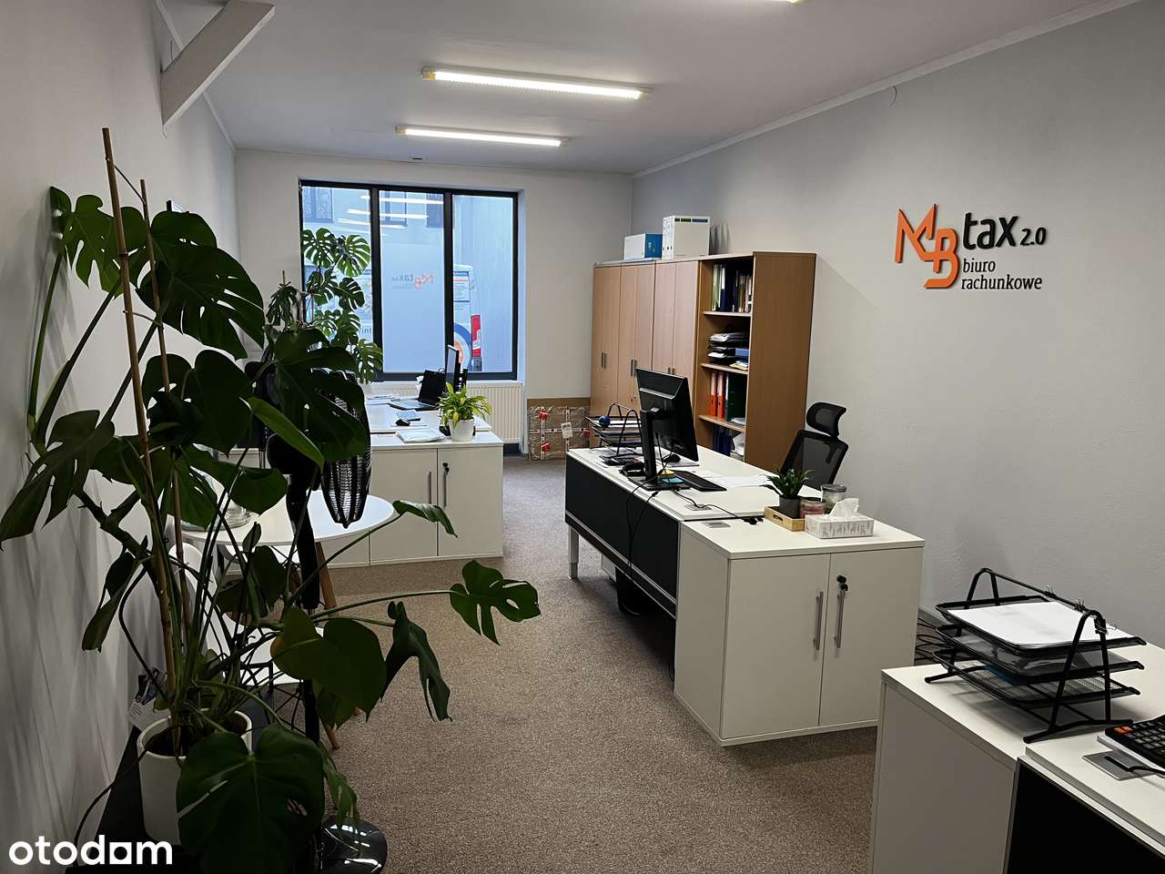 Lokal biurowo-usługowy na wynajem - Pełny obrazek: 2/7