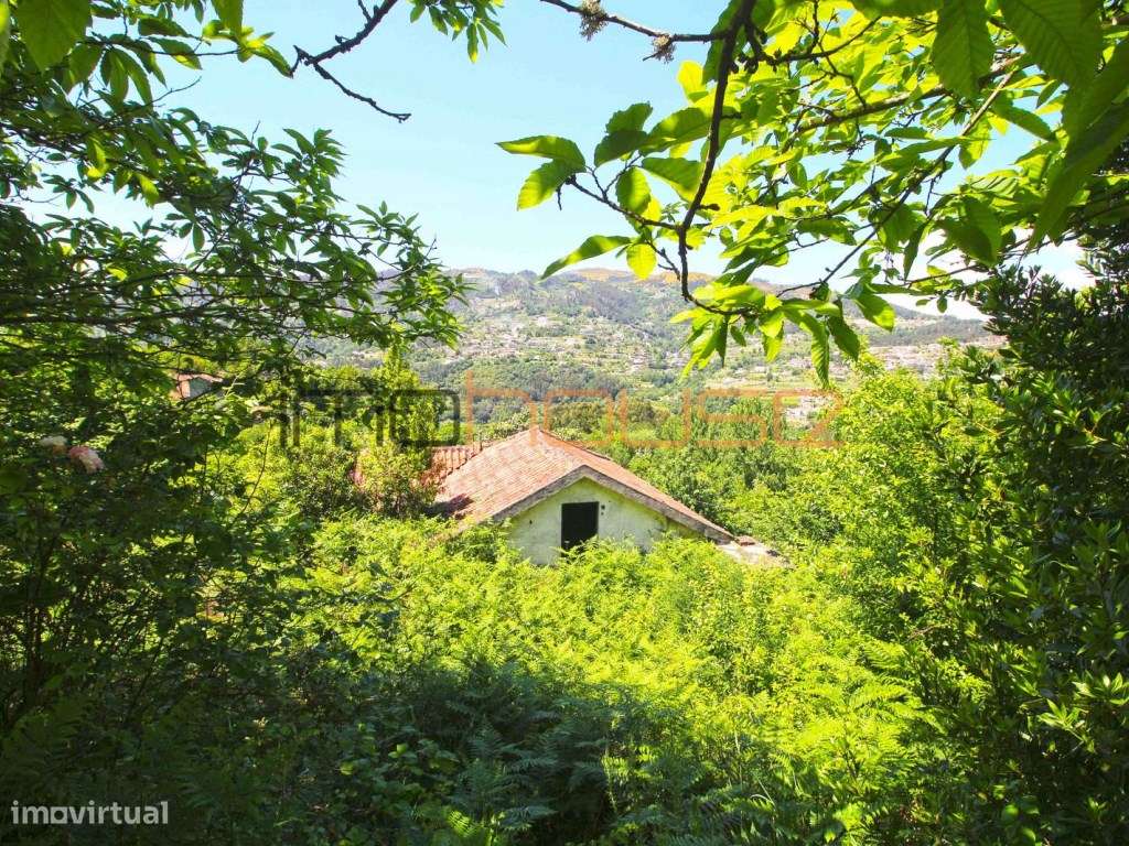 Casa rústica - Perto do Rio Douro - Grande imagem: 4/33