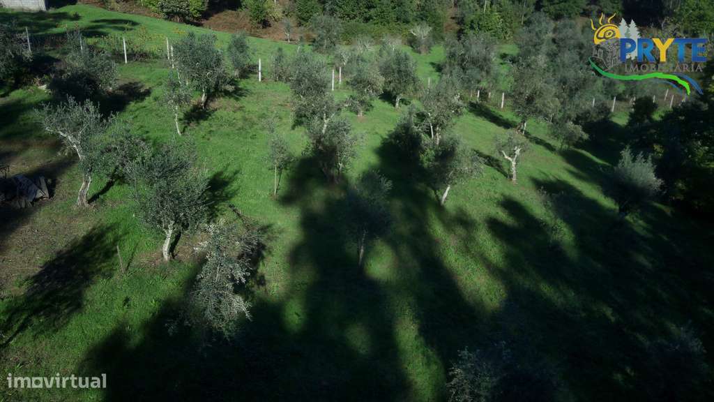 Propriedade composta por uma habitação para reconstrução-10