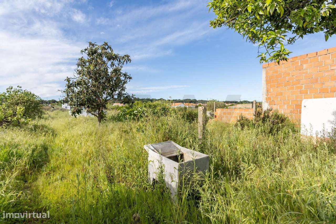 Moradia T2  com Garagem  e anexos inserida num lote de 1500 m2 de ter-48