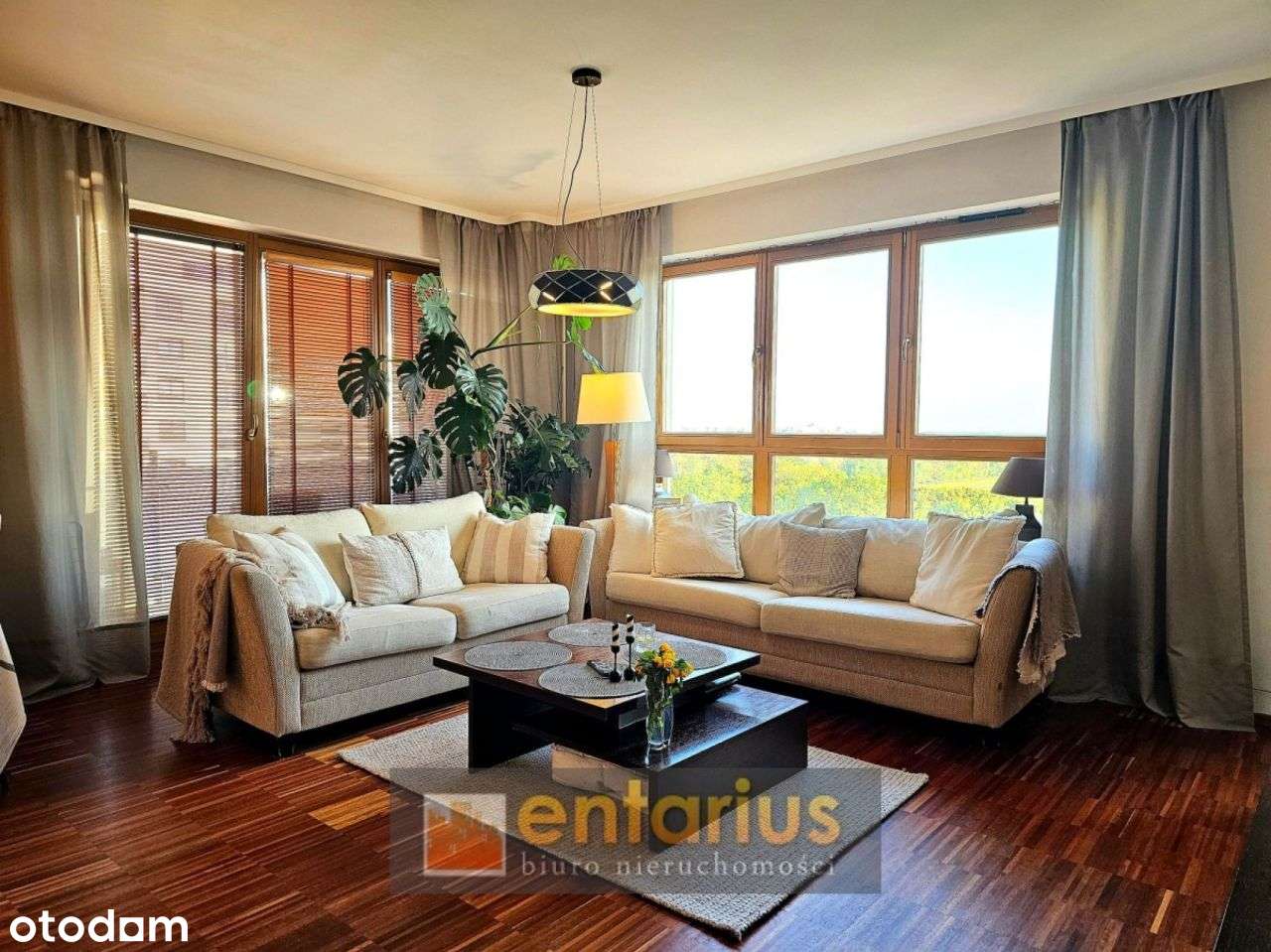 Apartament z pięknym widokiem na Tor Wyścigów Konn-0