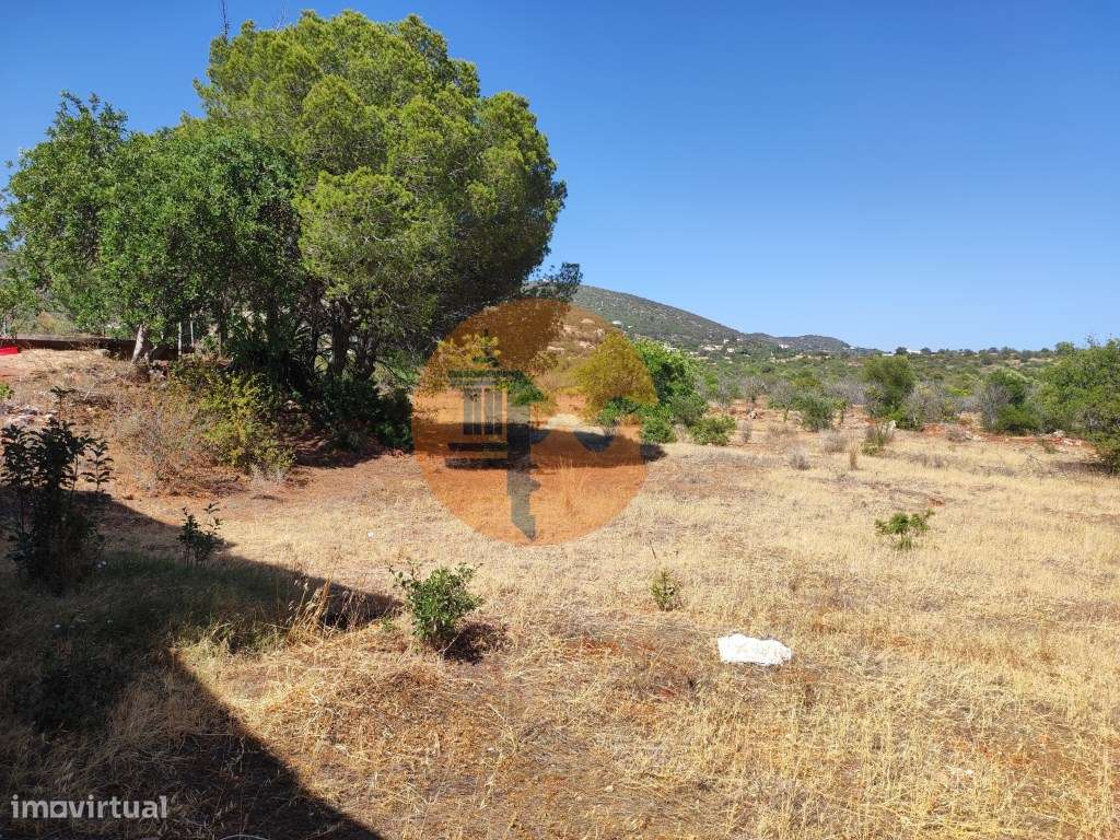 Magnifica Moradia com terreno de grande dimensão !!!-41