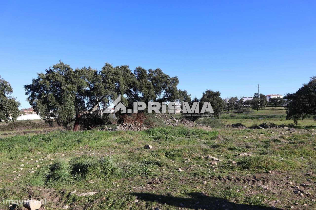 Terreno de 30.000m2 para venda em Alcains - Grande imagem: 3/21