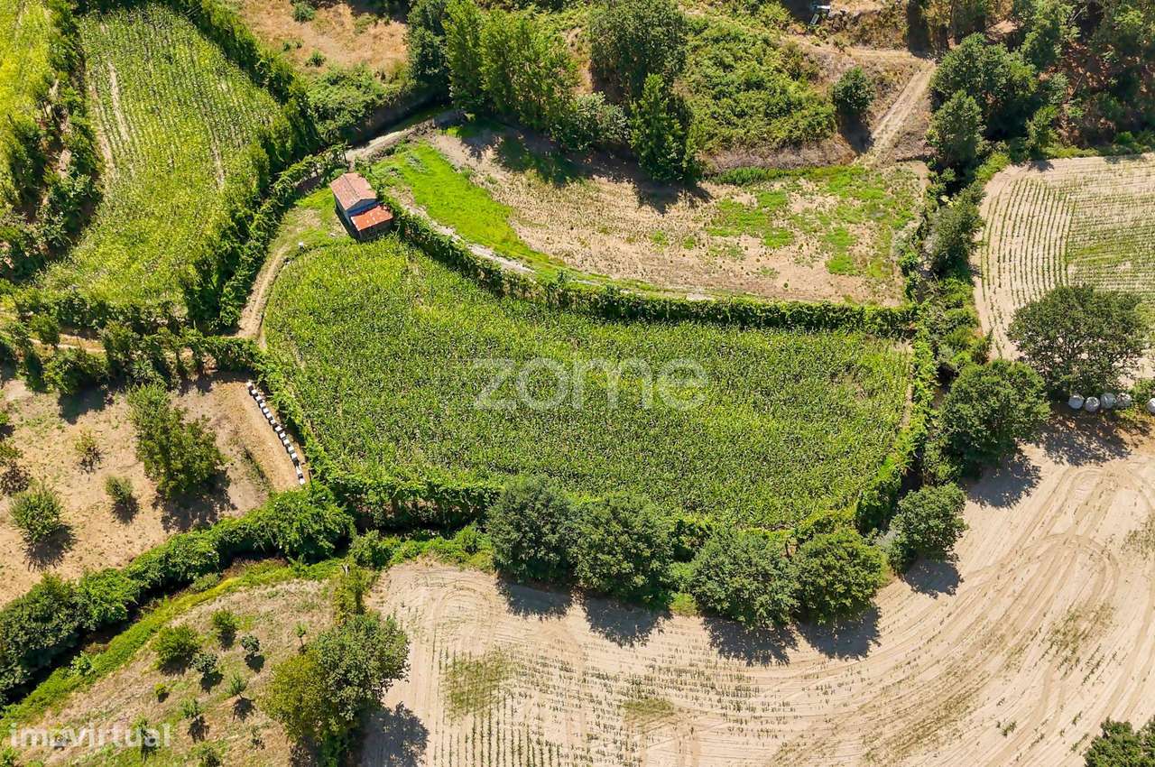 Terreno, 2 386 m², São Gens-10