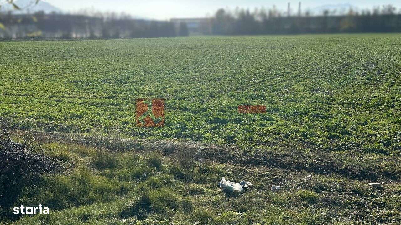 TEREN- 59 545 MP - POZITIONAT STRADAL-1