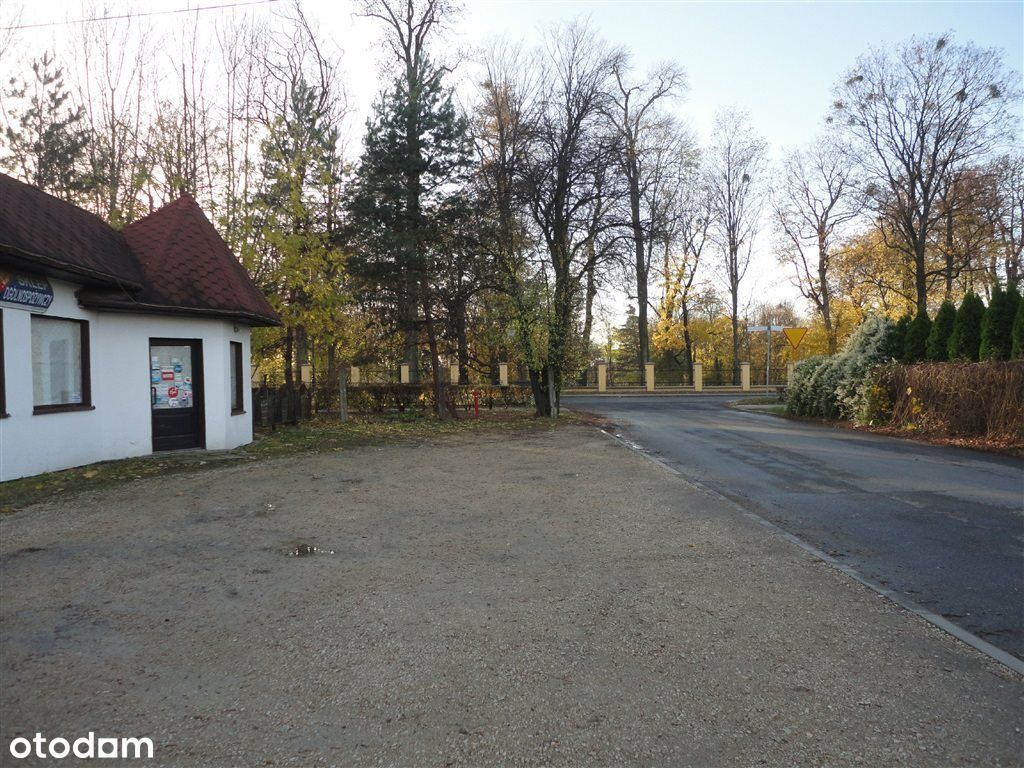 Działka przy Pałacu Zespołu Pieśni i Tańca Śląsk