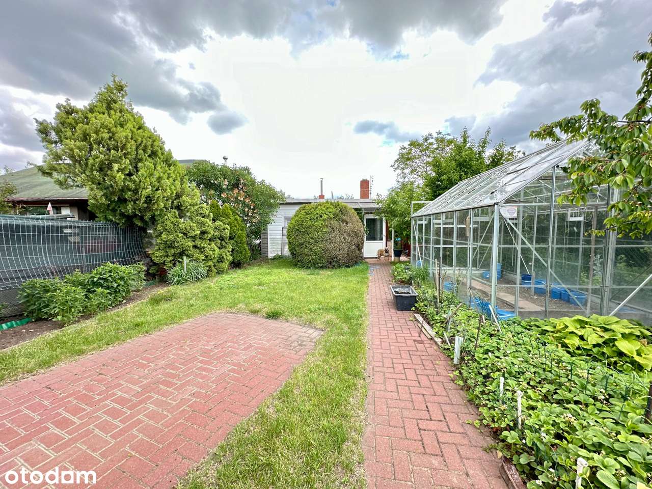 Działka ROD im. Karola Marcinkowskiego z domkiem całorocznym - Pełny obrazek: 3/11