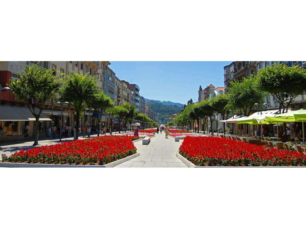 Vende- Moradia Térrea - C-Piscina- Braga Centro - Grande imagem: 5/10