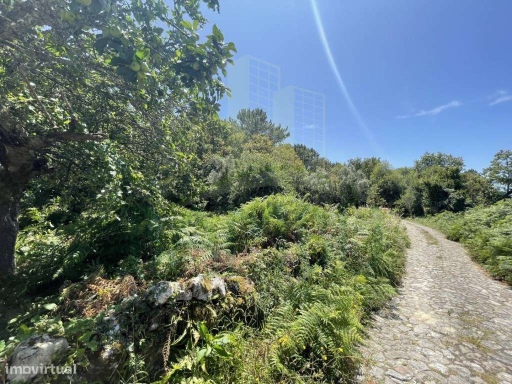 Terreno de construção em Afife. - Grande imagem: 2/21