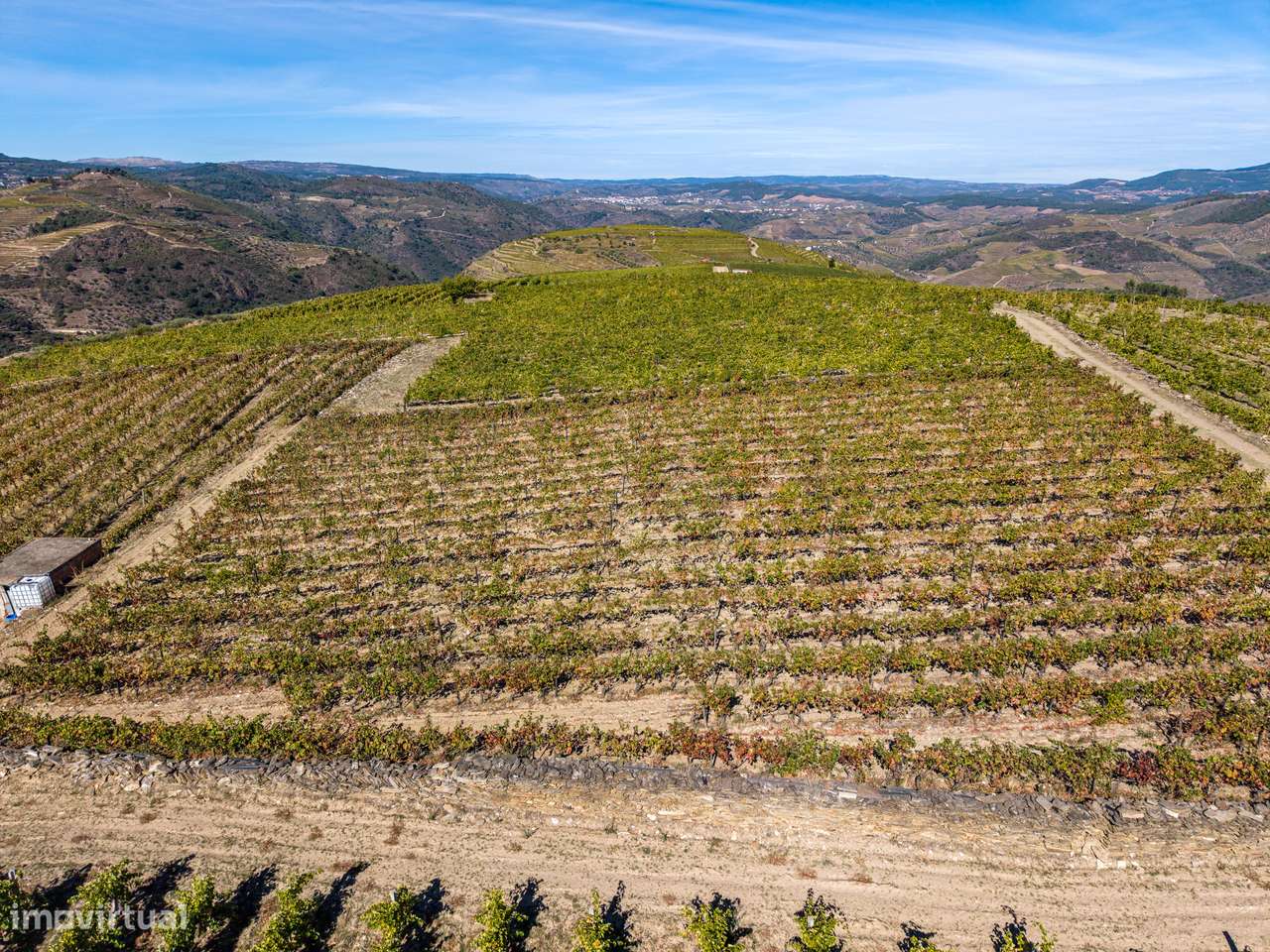 VINHA À VENDA EM MURÇA – REGIÃO DEMARCADA DO DOURO-20