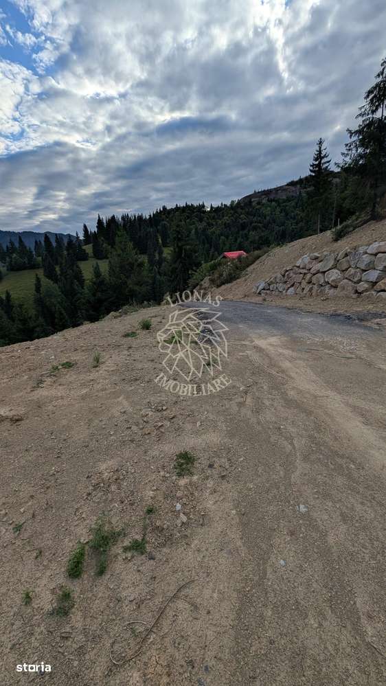 Parcele teren intravilan cu utilitati-panoramic-Colibita - Imagine principală: 2/4