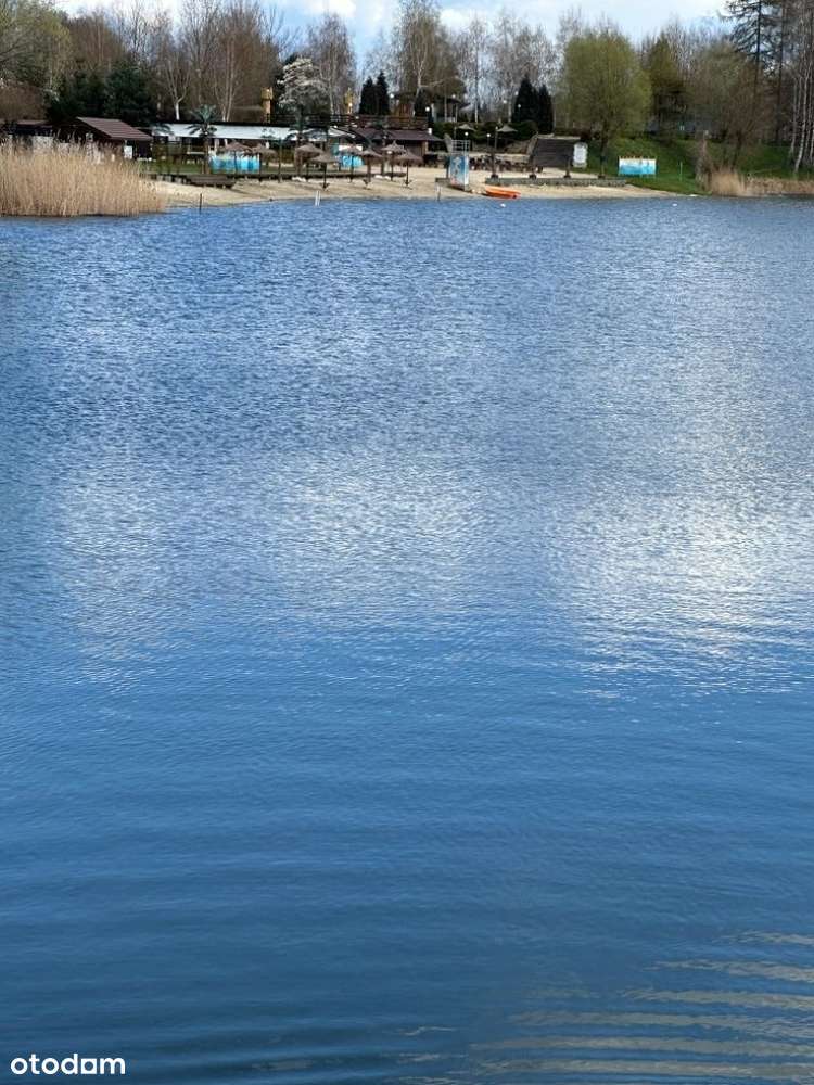 działka OLZA pierwsza linia brzegowa nad jeziorem - Pełny obrazek: 4/10
