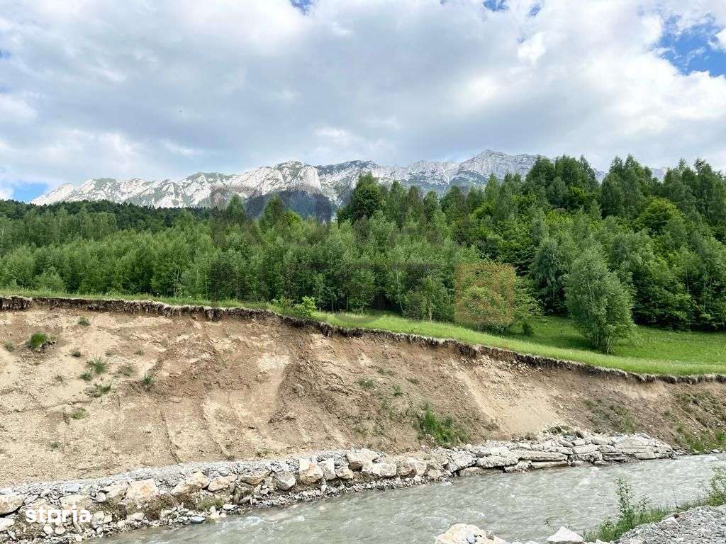 COMISION 0%! Teren superb la Plaiul Foii, pe malul Barsei-11