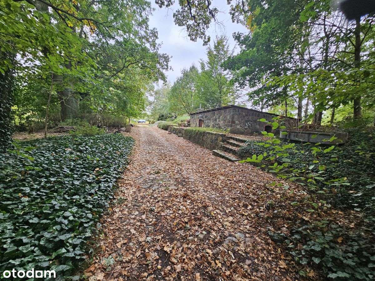 Działka wielofunkcyjna, Spa, Dom opieki, siedlisko-3