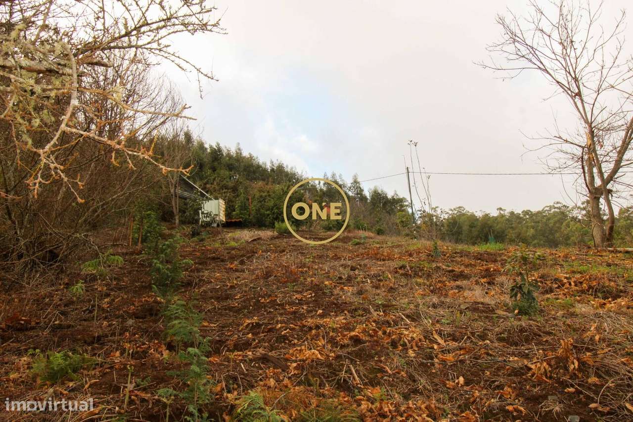 Terreno 600m2 - Grande imagem: 4/7