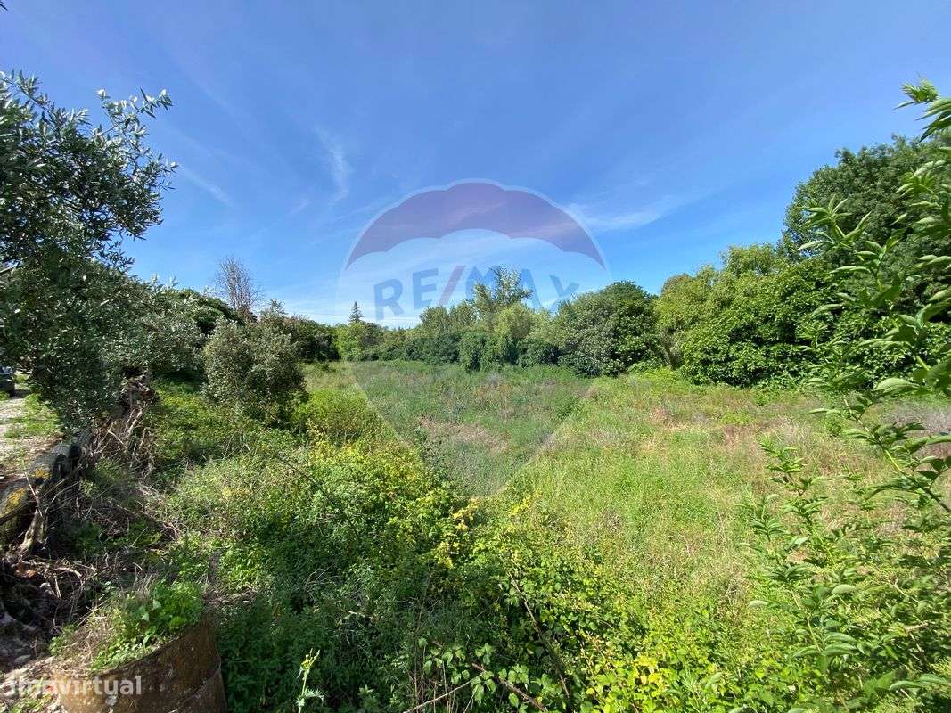 Terreno  para venda - Grande imagem: 5/7