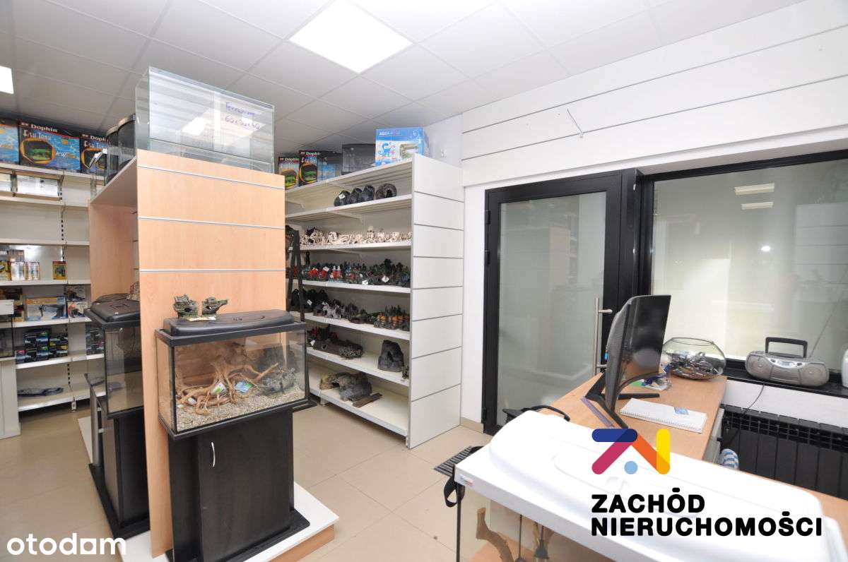 Lokal do wynajęcia Jędrzychów - Pełny obrazek: 1/10