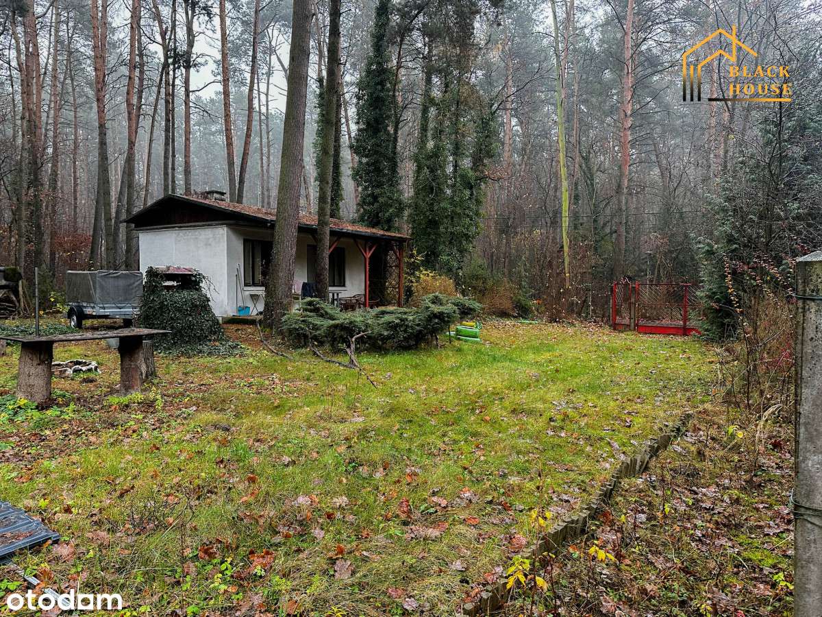 Działka w okolicach Zalewu, ul. Roślinna-2
