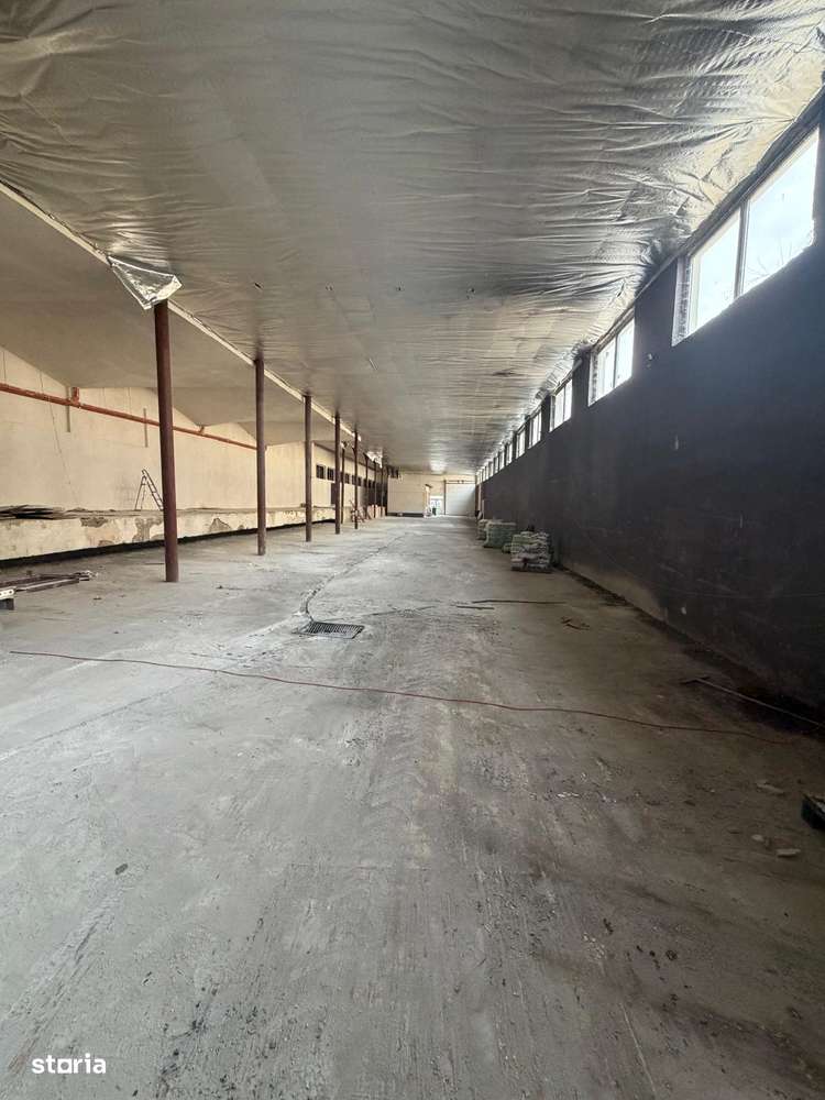 Hala de închiriat, 1094mp, Interioara 3 Nr 1 - Imagine principală: 3/10