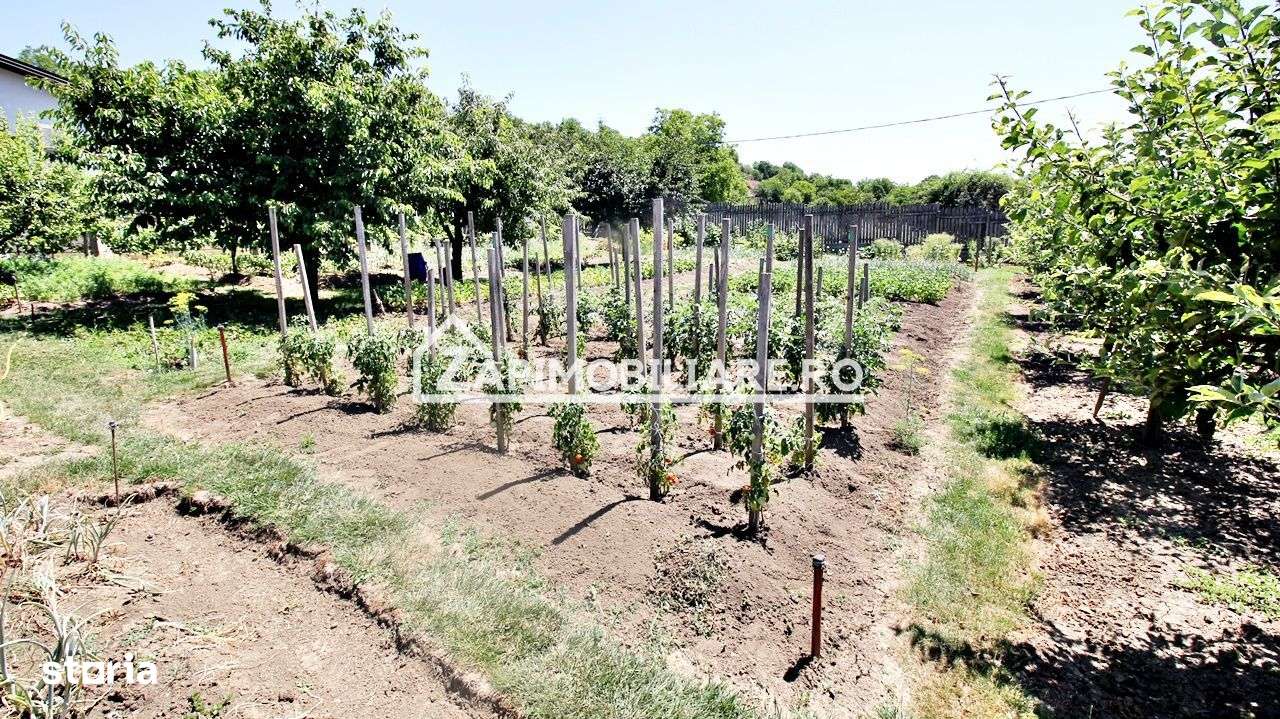 Teren intravilan 1.300 mp.zona Belvedere Targu Mures - Imagine principală: 2/13