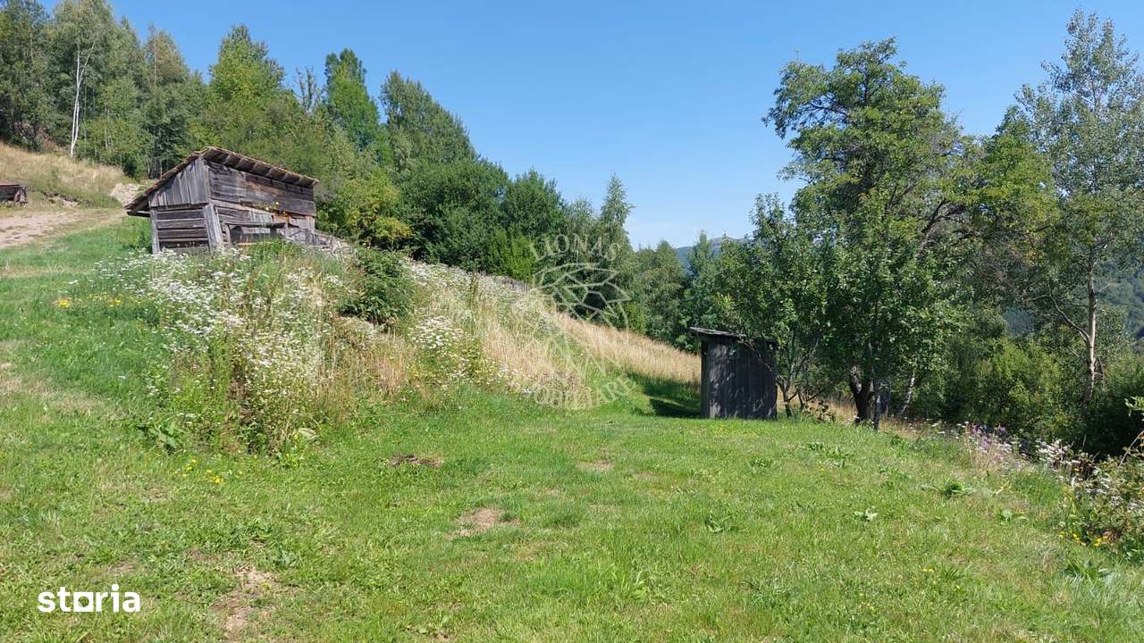 Teren extravilan investiție Rachitele Cluj - 31.555 mp - Imagine principală: 4/8