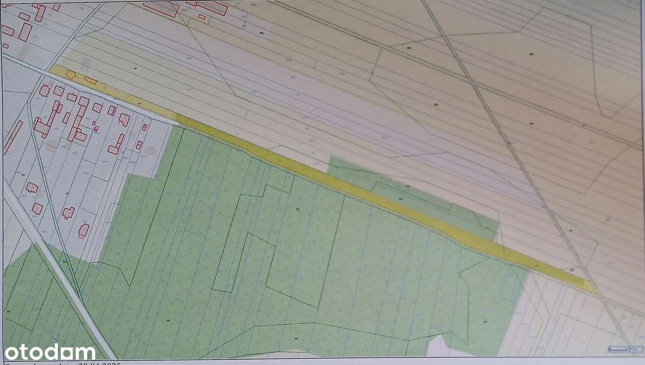 Na sprzedaż dom mieszkalny z domkiem letniskowym i 30 letnim lasem. - Pełny obrazek: 5/14