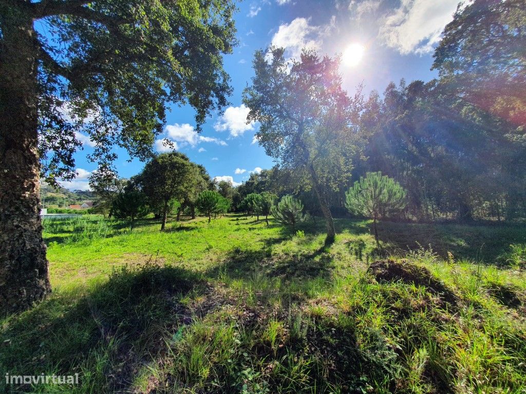 Terreno de 8.293m2 na Tornada - Caldas da Rainha