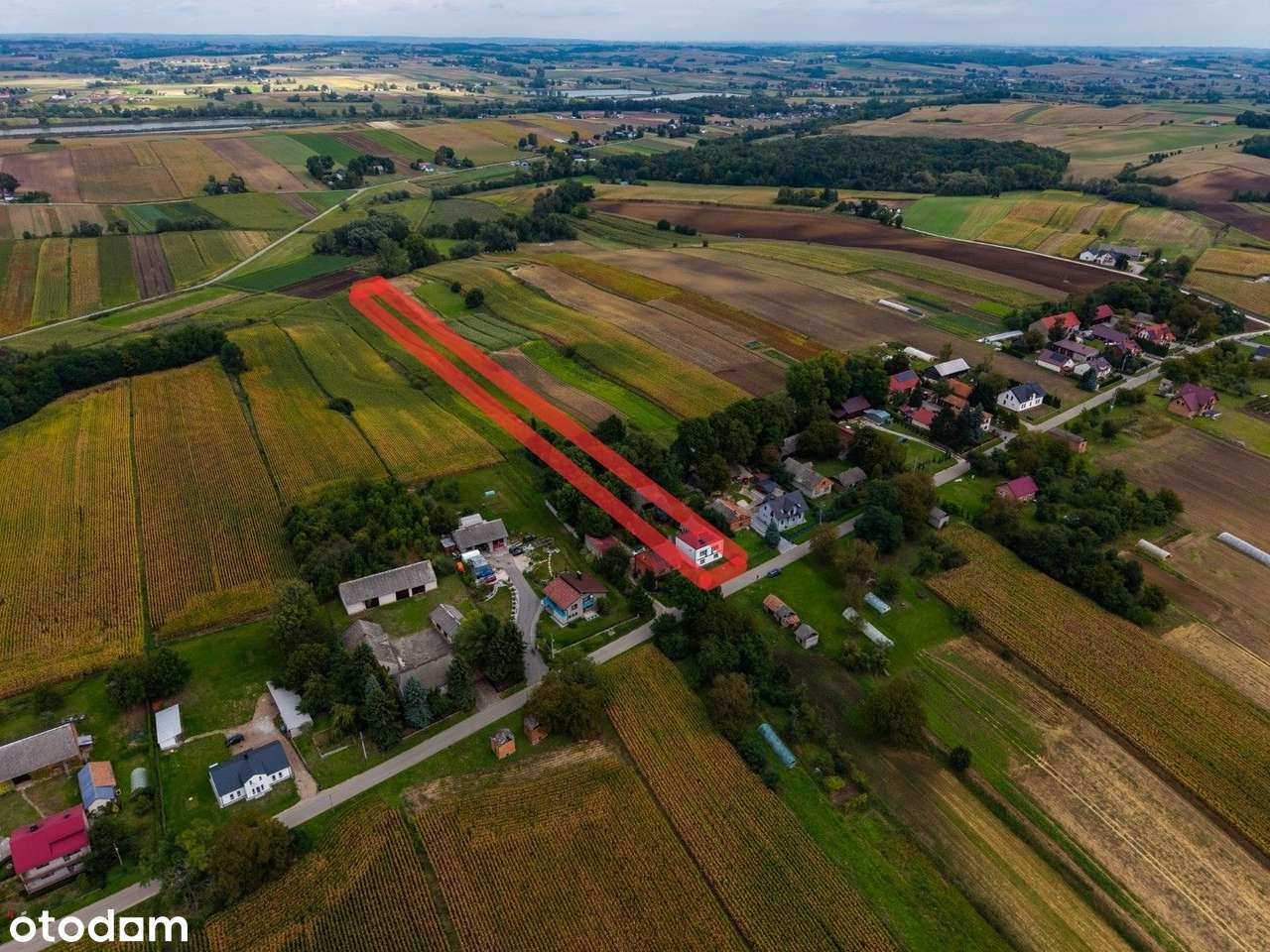 Gospodarstwo w Mniszowie Dom z Potencjałem - Pełny obrazek: 5/20