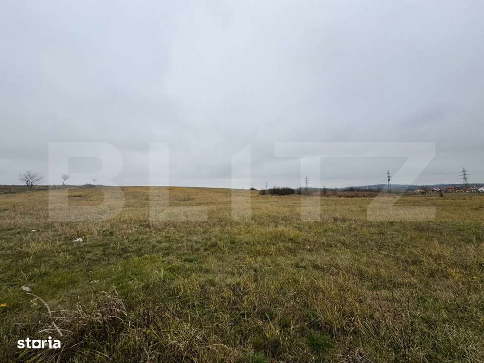 Teren intravilan 7665mp in Pricaz - Imagine principală: 2/2