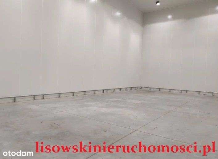 Chłodnia 1250m2, Stemplew - Pełny obrazek: 4/11