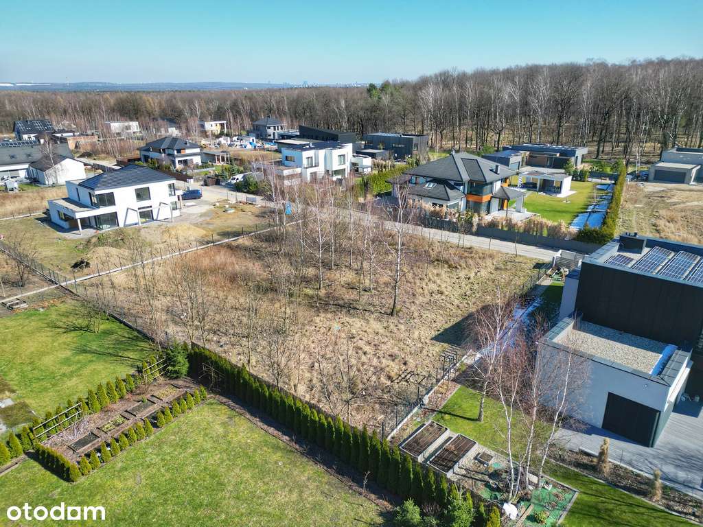 Willowa dzielnica przy lesie, media w drodze-1