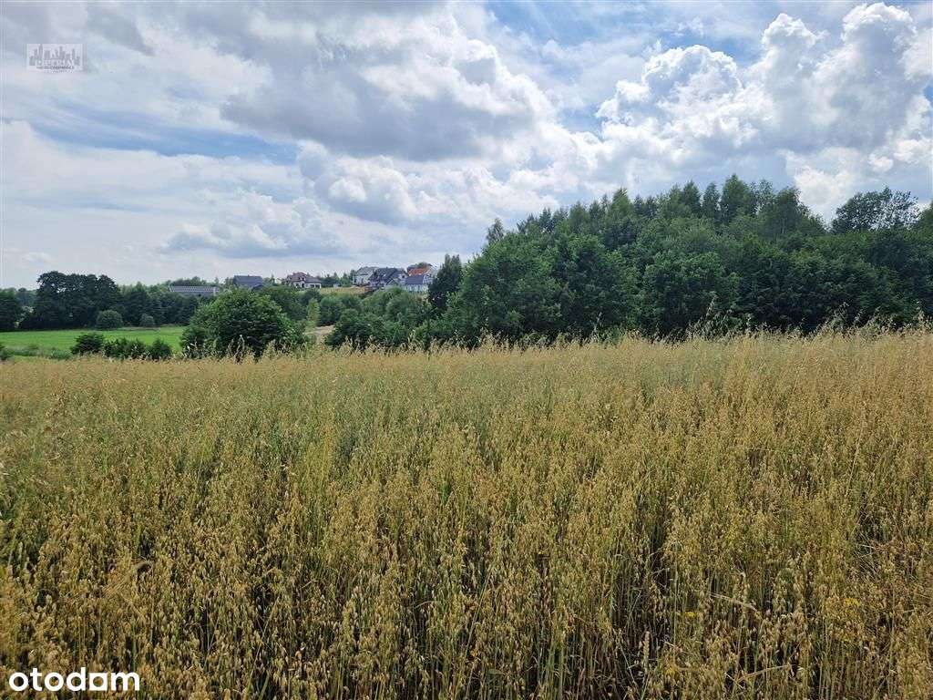 Widokowe działki | Miejscowy plan| Media w drodze-7