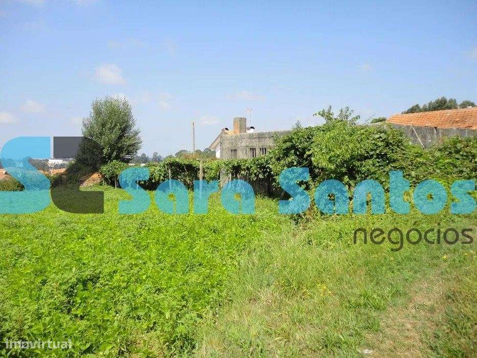 Terreno com 3 artigos, no total de 6.700mts em Pousadela, Nogueira ... - Grande imagem: 3/3
