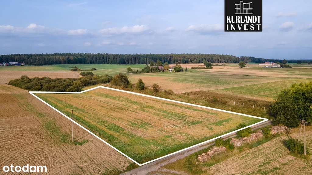 Działka 3016 m² Zalew Koronowski - Pełny obrazek: 4/6