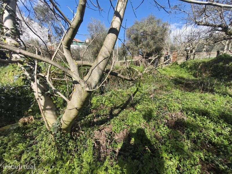 Terreno para Construção / Fundão, Souto da Casa - Grande imagem: 5/11
