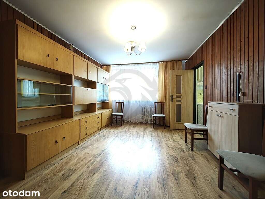 Uwaga! Tu skaczą Gumisie nie lokatorzy-13