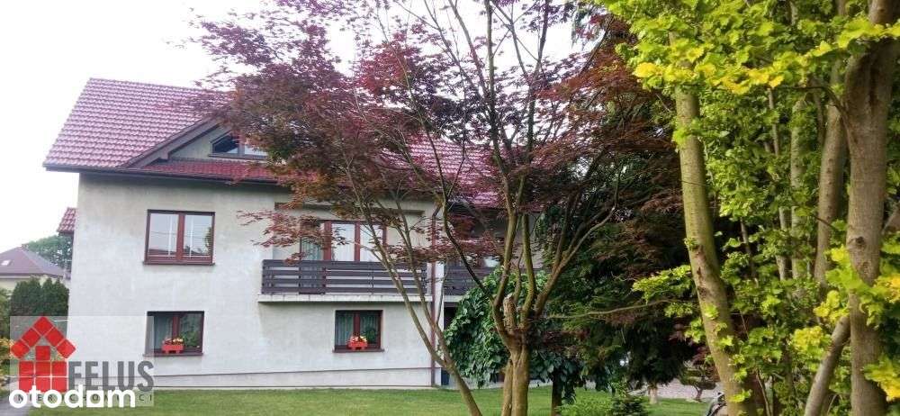 Dom, 250 m², Kamień-11