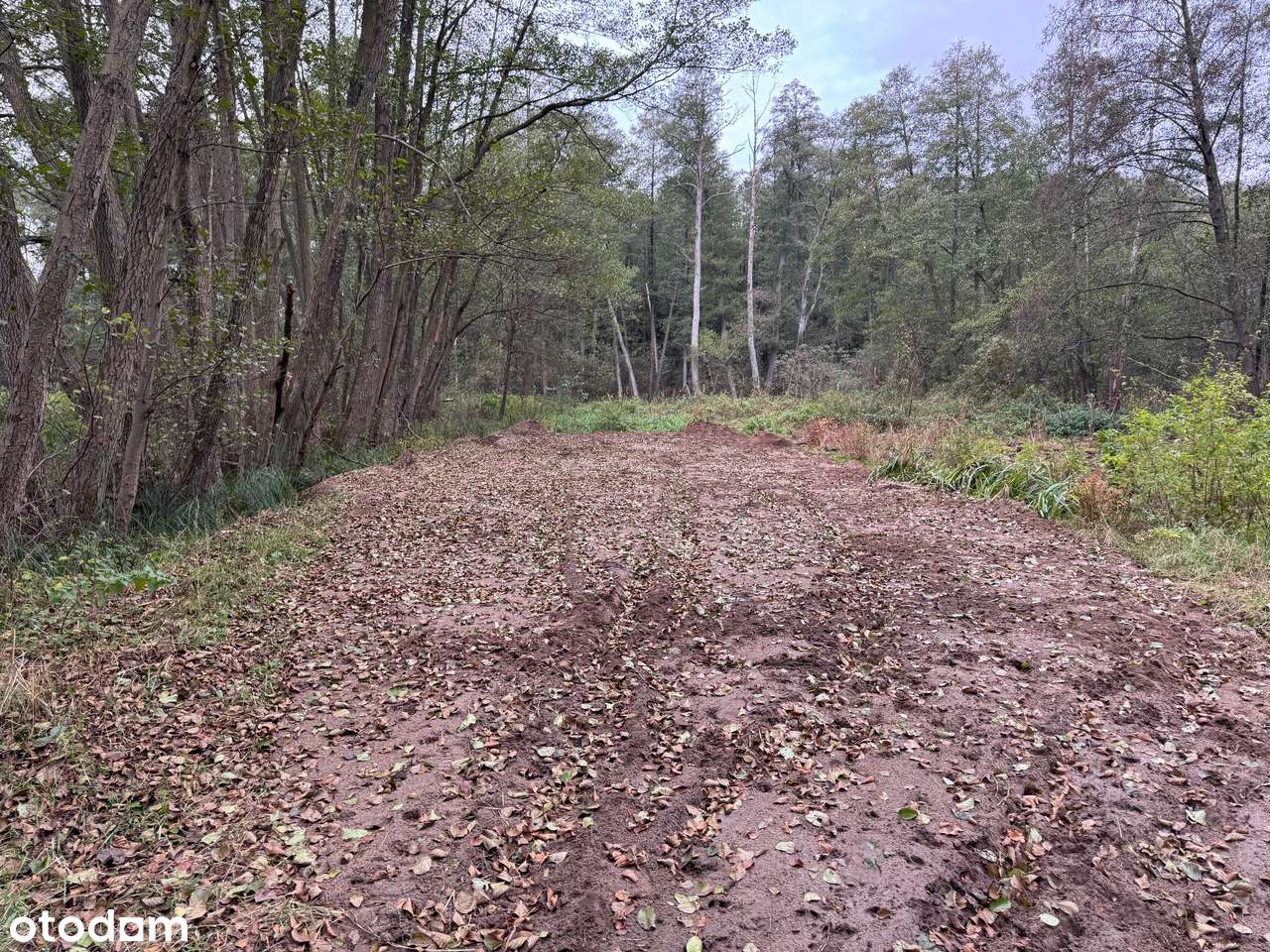 Duża działka nad rzeką Ilanka-5