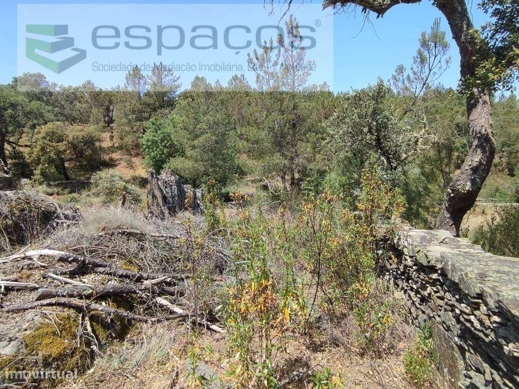 Terreno rústico - Benquerenças - Grande imagem: 3/15