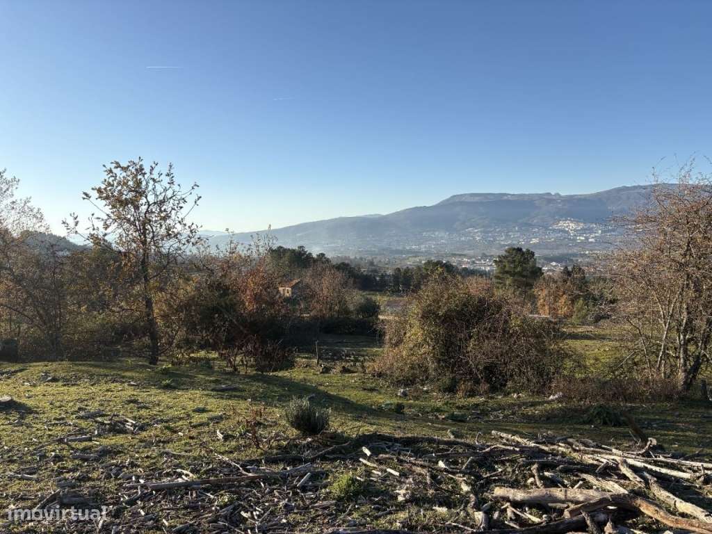 Quinta com casa em pedra para recuperar-13