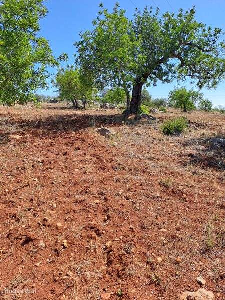Terreno rústico 27000 - Grande imagem: 5/9