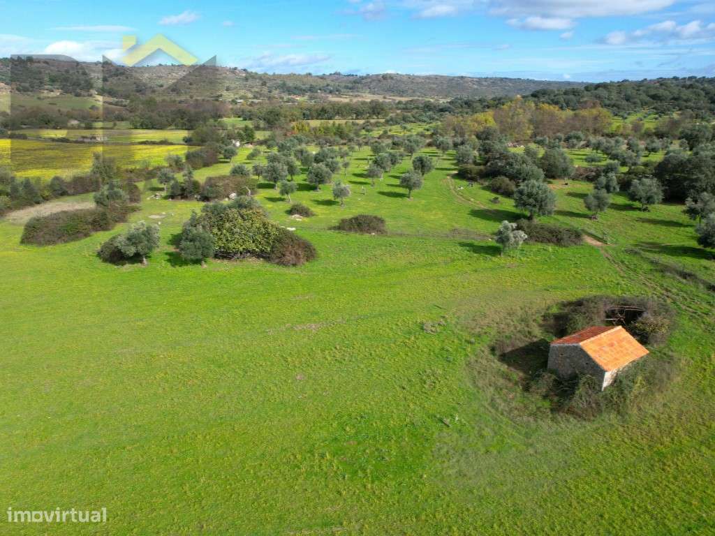 Quinta com 3ha em Oledo, Idanha-a-Nova - Grande imagem: 3/30