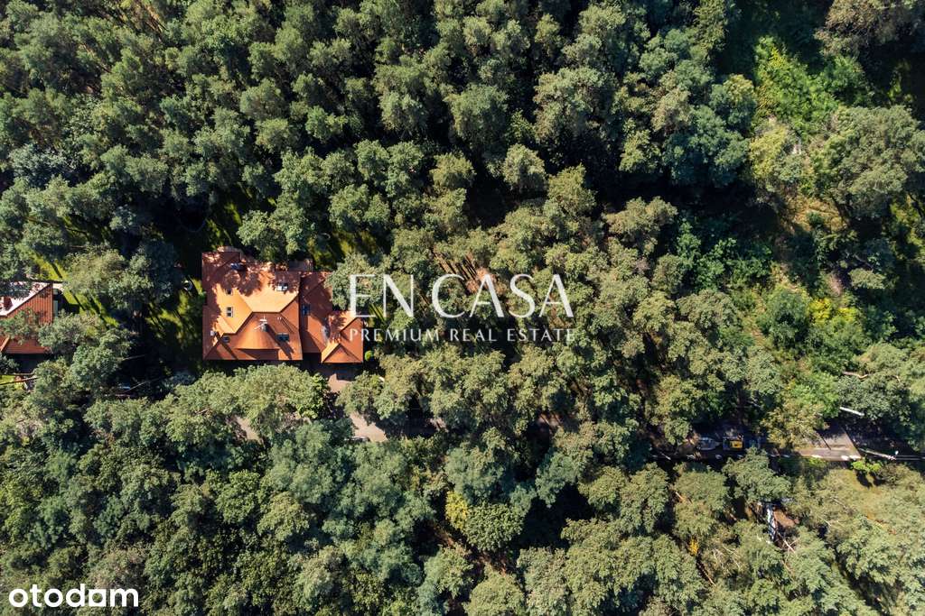 Radość | Piękna działka - 1813 m2 | Starodrzew - Pełny obrazek: 4/7