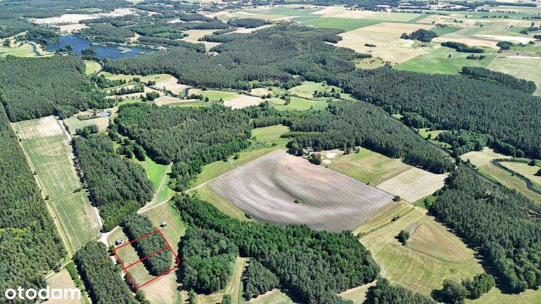 Szramowo,gm.Zbiczno  działka z lasem i dec.o war.zab - Pełny obrazek: 4/7