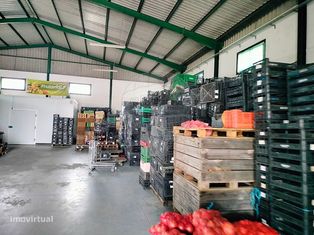 Armazém T2 para venda - Grande imagem: 4/14