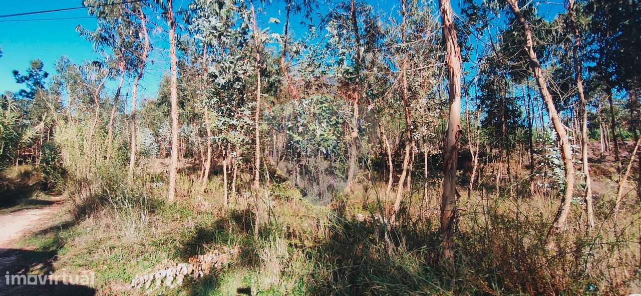 Terreno  para venda - Grande imagem: 5/5