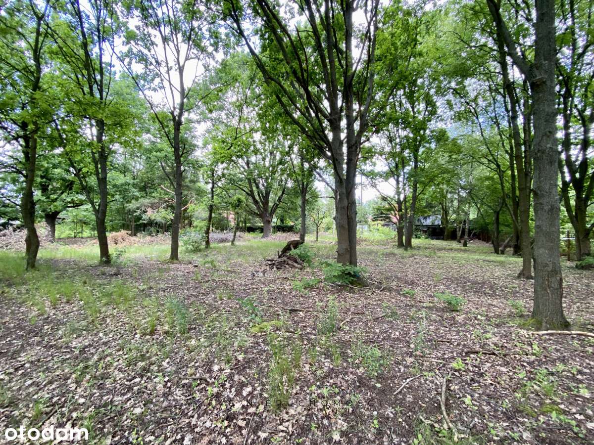 Malownicza działka nad rzeką Bug-8